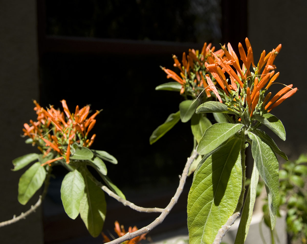 DSCF5218karl Phoenix Office Cleaning and Janitorial Service
